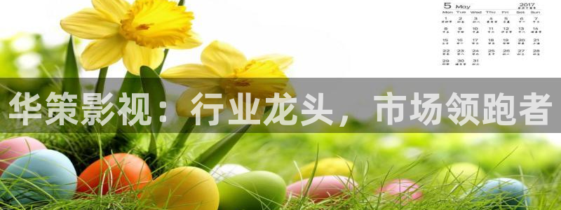 天天5g天天5g影院：华策影视：行业龙头，市场领跑者