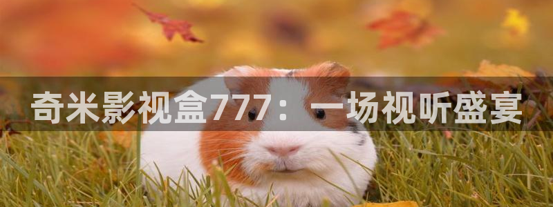 亚洲另类天天影院：奇米影视盒777：一场视听盛宴