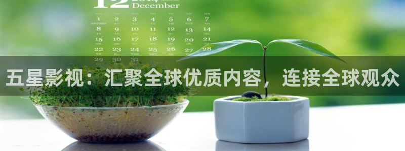 天天射影视综合